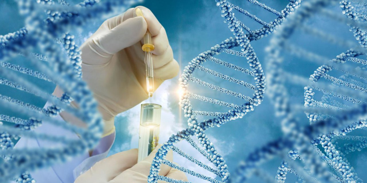 Выявлен набор генов, влияющих на развитие фиброза печени