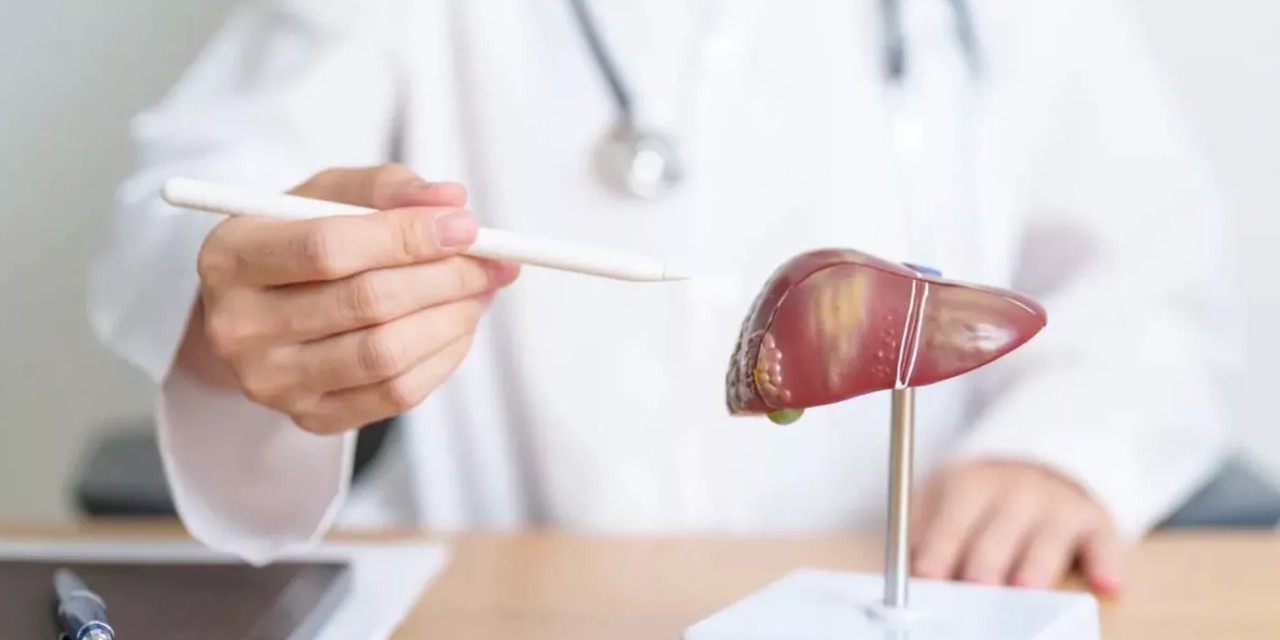 Новый выявленный механизм может быть использован для лечения жировой болезни печени